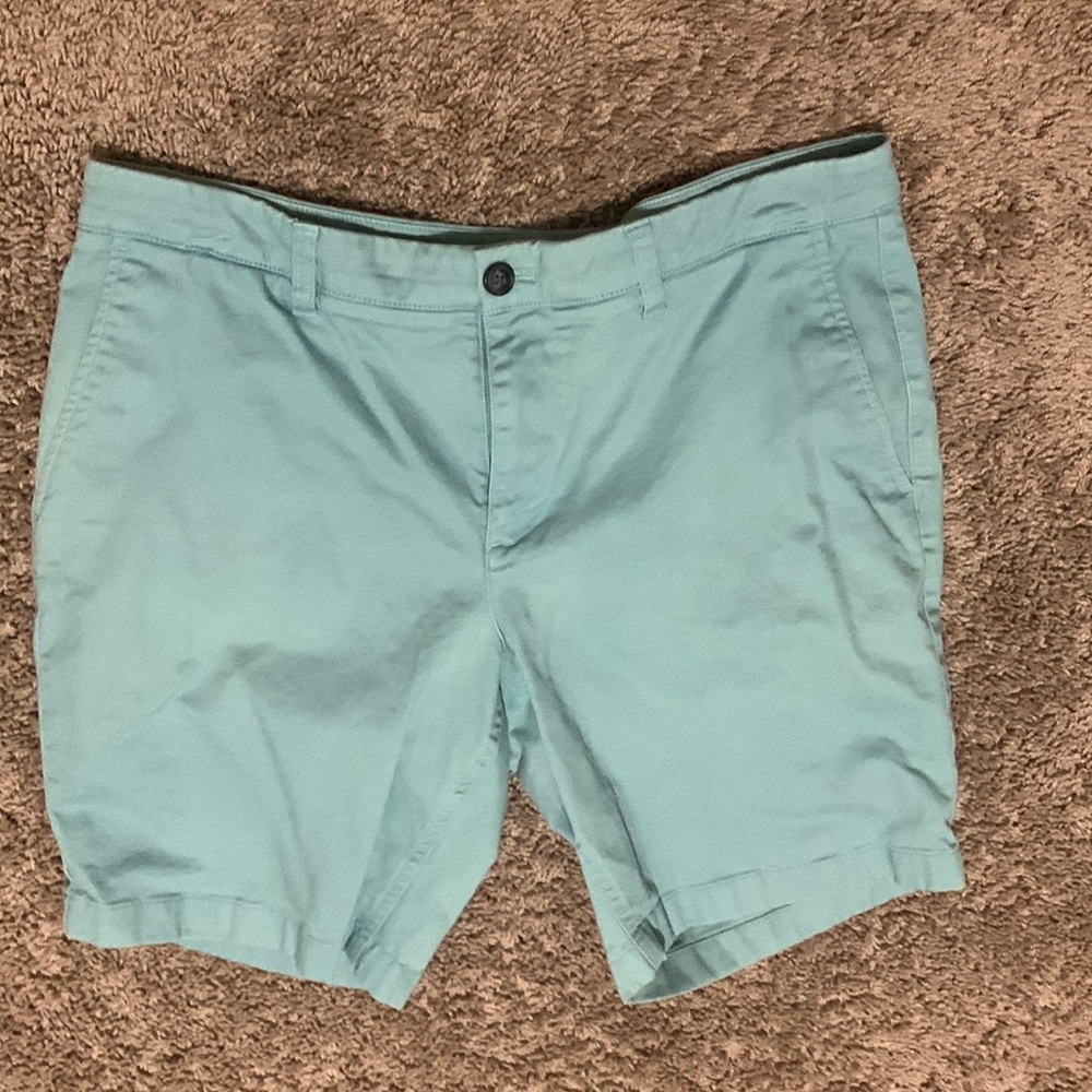 Hawker Rye 34x9 Teal Green Shorts